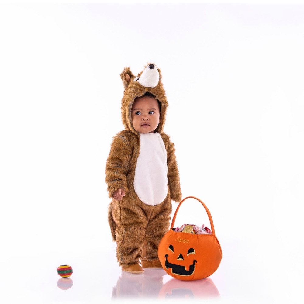 Pottery Barn Kids Brown Wolf Costume